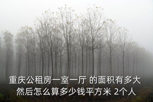 重慶公租房一室一廳 的面積有多大 然后怎么算多少錢平方米 2個人