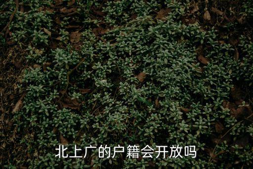 北上廣的戶籍會開放嗎