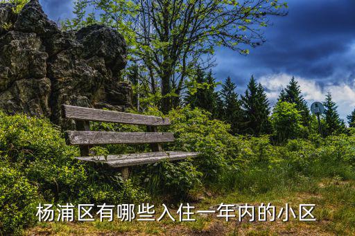 楊浦區有哪些入住一年內的小區