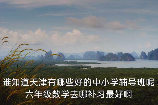 誰知道天津有哪些好的中小學輔導班呢六年級數學去哪補習最好啊