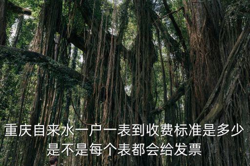 重慶自來水一戶一表到收費標準是多少是不是每個表都會給發票