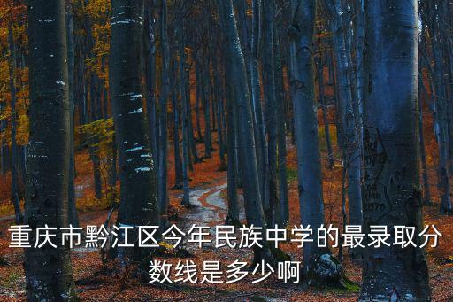 重慶市黔江區(qū)民族中學(xué)高考現(xiàn)場(chǎng)，重慶市黔江區(qū)今年民族中學(xué)的最錄取分?jǐn)?shù)線是多少啊