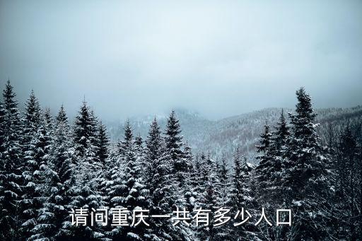 請問重慶一共有多少人口