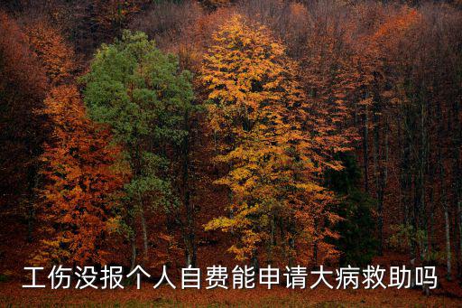 工傷沒報個人自費能申請大病救助嗎