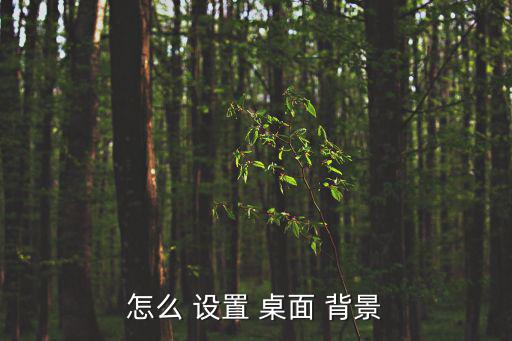 怎么 設置 桌面 背景