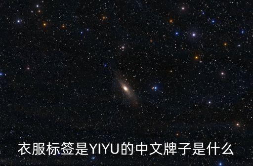 衣服標簽是YIYU的中文牌子是什么