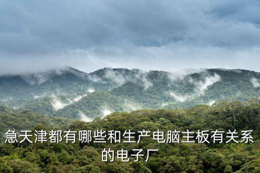 急天津都有哪些和生產(chǎn)電腦主板有關(guān)系的電子廠(chǎng)