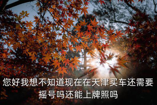您好我想不知道現在在天津買車還需要搖號嗎還能上牌照嗎