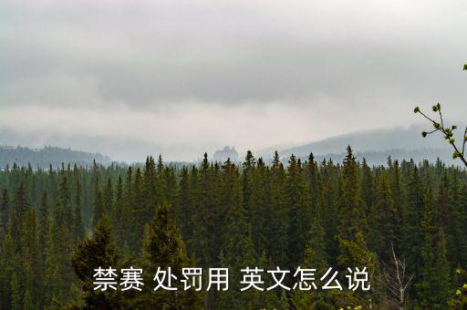 禁賽 處罰用 英文怎么說