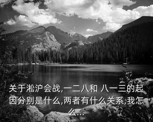 關于淞滬會戰,一二八和 八一三的起因分別是什么,兩者有什么關系,我怎么...