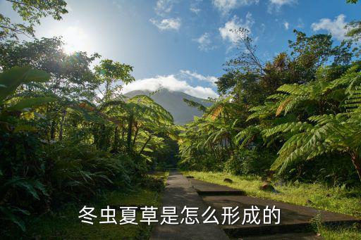 冬蟲夏草是怎么形成的