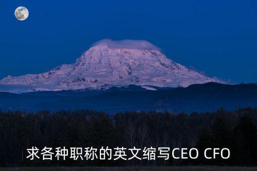 銷售總監英文，account manager和sales director區別是什么哪個職位高