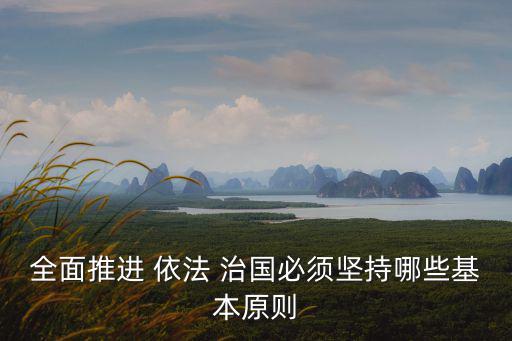 堅(jiān)持依法治國(guó),十一堅(jiān)持不懈堅(jiān)持黨對(duì)全面領(lǐng)導(dǎo)依法治國(guó)
