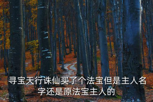 尋寶網誅仙站,寶寶不能在尋寶上買東西和人民幣不等值