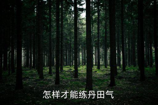 怎樣才能練丹田氣