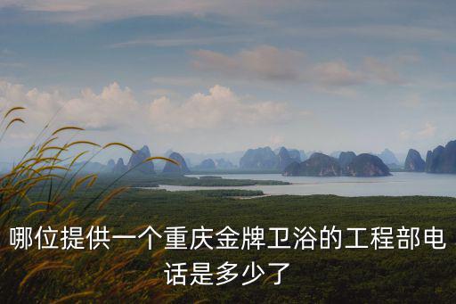 重慶市金牌衛浴店，重慶企業建站