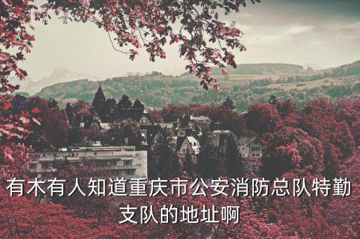 有木有人知道重慶市公安消防總隊(duì)特勤支隊(duì)的地址啊