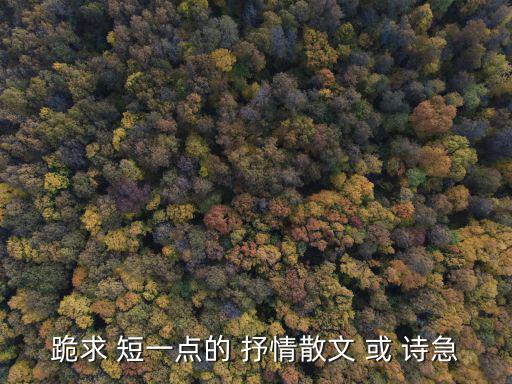 跪求 短一點的 抒情散文 或 詩急