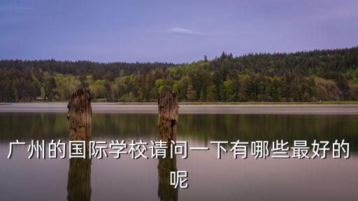 廣州的國際學校請問一下有哪些最好的呢