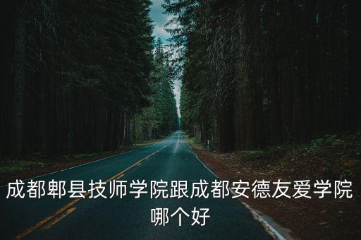 成都郫縣技師學(xué)院跟成都安德友愛(ài)學(xué)院哪個(gè)好