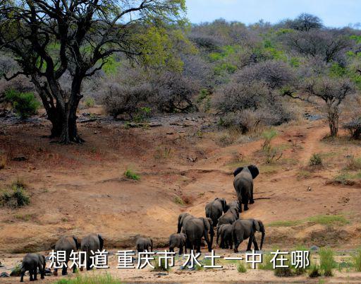 重慶市北碚區(qū)水土鎮(zhèn)教育用地，北碚區(qū)水土鎮(zhèn)有大學(xué)級的學(xué)校嗎