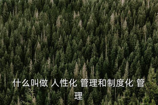 什么叫做 人性化 管理和制度化 管理