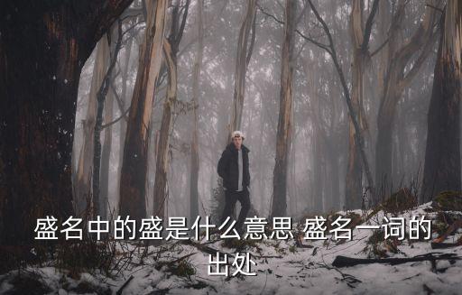  盛名中的盛是什么意思 盛名一詞的出處