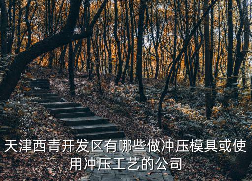 天津市西青區沖壓注塑模具有限公司，天津西青開發區有哪些做沖壓模具或使用沖壓工藝的公司