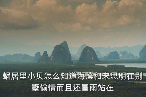 蝸居里小貝怎么知道海藻和宋思明在別墅偷情而且還冒雨站在