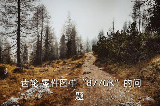  齒輪 零件圖中“877GK”的問(wèn)題