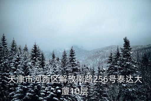 天津市河西區解放南路256號泰達大廈10層