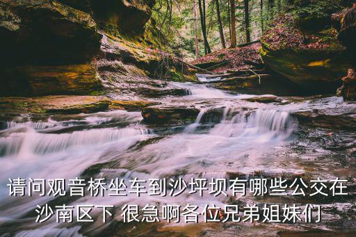 請問觀音橋坐車到沙坪壩有哪些公交在沙南區下 很急啊各位兄弟姐妹們