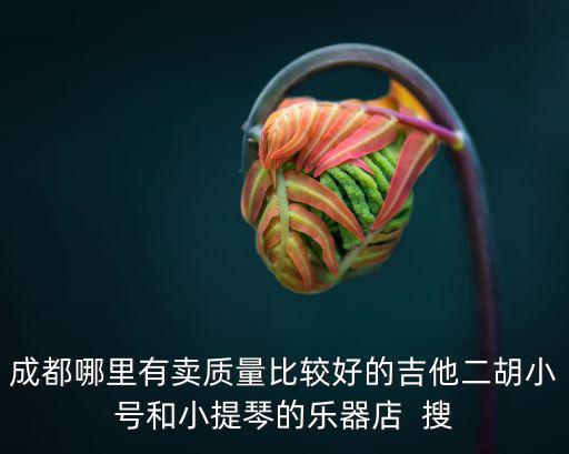 成都哪里有賣質量比較好的吉他二胡小號和小提琴的樂器店  搜