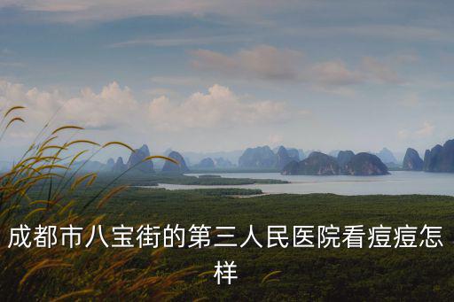 成都市八寶街的第三人民醫院看痘痘怎樣