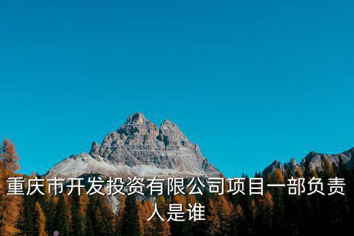 重慶市開發投資有限公司項目一部負責人是誰