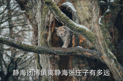 天津市靜海縣梁頭鎮(zhèn)張莊子村，天津靜海梁頭鎮(zhèn)有那幾個自然村被劃出去到國家級子牙環(huán)保生態(tài)園區(qū)區(qū)