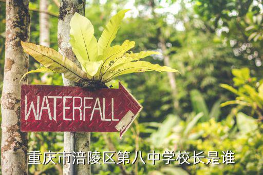 重慶市涪陵區第八中學校長是誰