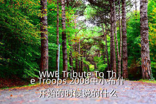 WWE Tribute To The Troops 2008中小布什開始的時候說的什么