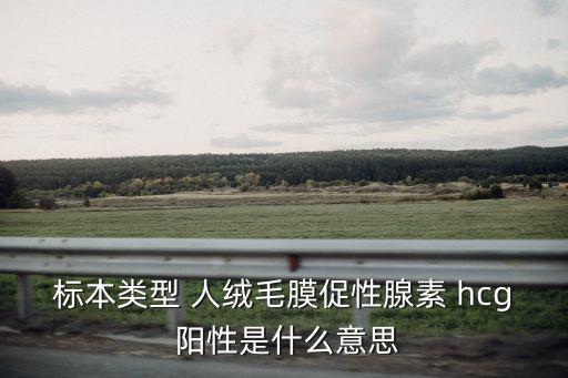 標本類型 人絨毛膜促性腺素 hcg 陽性是什么意思