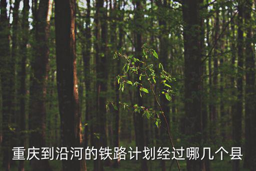 重慶市域鐵路規劃走向，重慶到沿河的鐵路計劃經過哪幾個縣