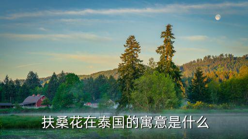 扶桑花花語,夏威夷州花:扶桑flower寓意清新純凈羞澀