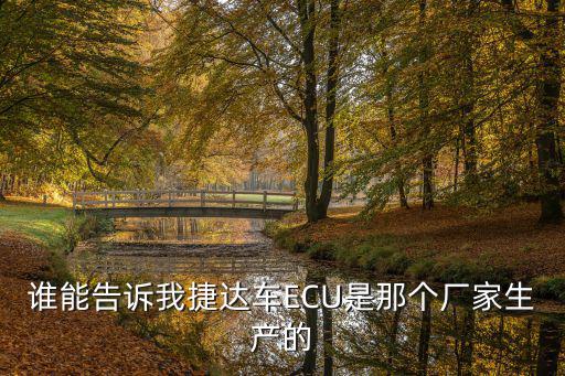 誰能告訴我捷達車ECU是那個廠家生產的