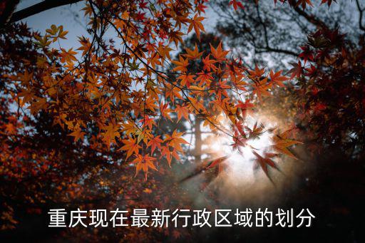重慶現在最新行政區域的劃分