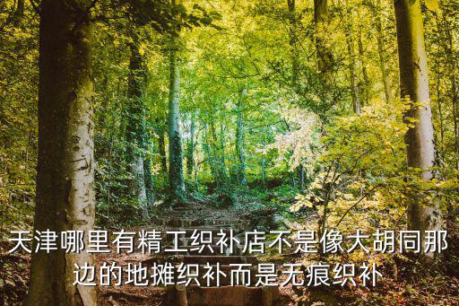 天津哪里有精工織補店不是像大胡同那邊的地攤織補而是無痕織補