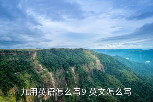 九英文怎么寫,九九一等于十貓有九條命?