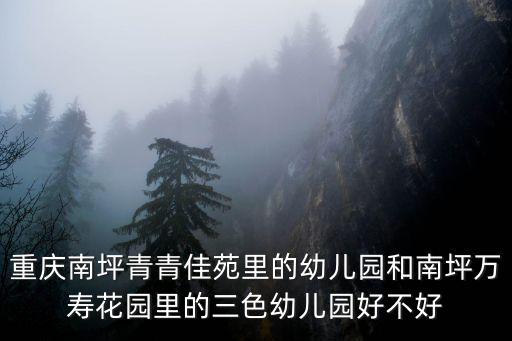 重慶南坪青青佳苑里的幼兒園和南坪萬壽花園里的三色幼兒園好不好