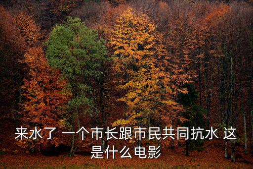來水了 一個市長跟市民共同抗水 這是什么電影