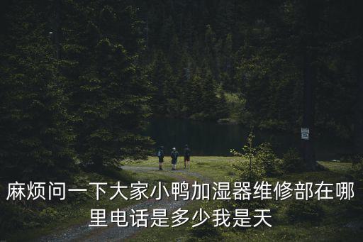 麻煩問一下大家小鴨加濕器維修部在哪里電話是多少我是天