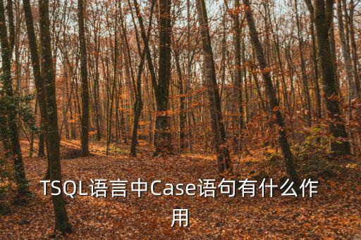 TSQL語言中Case語句有什么作用