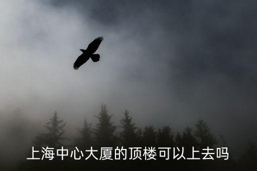 上海中心大廈的頂樓可以上去嗎